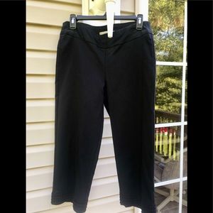 Dana Buchman Capri Pants (NWOT!)